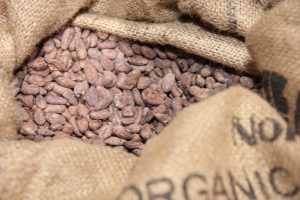 Cacao en saco en Chocoa