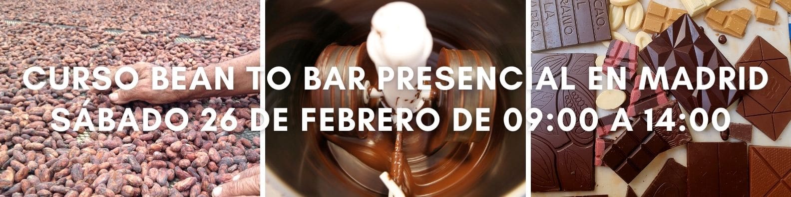 curso chocolate bean to bar Madrid